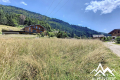 terrain LE BIOT 3390369_0