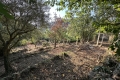 Maison LA TURBIE 3401772_3