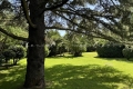 Maison GRIMAUD 3406332_2