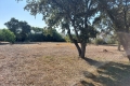 terrain TAULIGNAN 3438433_0