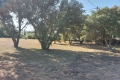 terrain TAULIGNAN 3438433_1