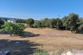 terrain TAULIGNAN 3438433_2