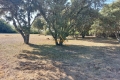 terrain TAULIGNAN 3438433_3