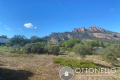 terrain ROQUEBRUNE-SUR-ARGENS Ecarts 3460349_0