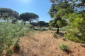 Building plot STE-MAXIME Est 3493714_1