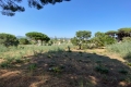 Building plot STE-MAXIME Est 3493714_2