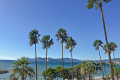 Appartement CANNES Magnan 3558907_0