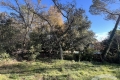 terrain ROQUEFORT-LES-PINS 3581019_3