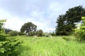 terrain LE POULIGUEN 3583094_2