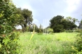 terrain LE POULIGUEN 3583094_3