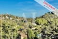 Appartement VALLAURIS 4 pièces 3586241_0