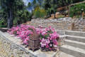 Maison LORGUES 3587563_3