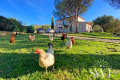 Maison GASSIN 6 pi&egrave;ces 3600958_1