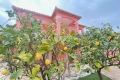 House LA LONDE-LES-MAURES Valcros - Alicastre - Pansard - Le Pin 3614572_1