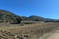 terrain ROUSSET LES VIGNES 3627277_1