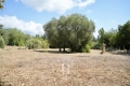 Building plot ROQUEFORT-LES-PINS Nord 3628533_0