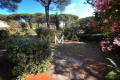 Apartment STE-MAXIME 2 rooms 3630304_1