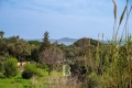 Building plot GRIMAUD Est 3631995_1