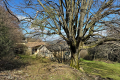 Maison TAULIGNAN 3633670_2