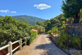 Commerce ST-TROPEZ 3634633_2