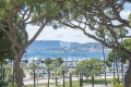 Appartement CANNES 4 pièces 3637621_1