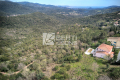 terrain LES ADRETS-DE-L'ESTEREL 3642312_1