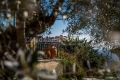 Maison VENCE 7 pi&egrave;ces 3642466_1
