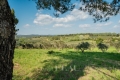 Maison FONTVIEILLE 3644516_3