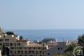 Appartement ROQUEBRUNE-CAP-MARTIN 3646743_2