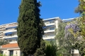 Appartement MENTON 2 pièces 3651649_2