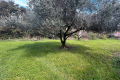 terrain CABANNES 3650218_1