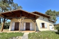 Maison BISCARROSSE Sablar-Rive Droite 3655531_0