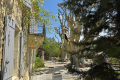 Maison ST-PAUL-TROIS-CHATEAUX 3659767_1