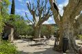 Maison ST-PAUL-TROIS-CHATEAUX 3659767_2