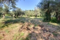 Building plot OPIO Carabacel 3727722_2
