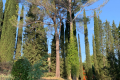 terrain VALBONNE 3740993_3