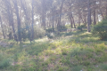 terrain VENTABREN 3744257_1