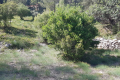 terrain VENTABREN 3744257_3