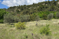 terrain NYONS 0 pièces 3746262_0