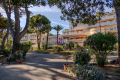Appartement HYERES 3746288_3