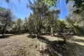 Building plot BIOT Carabacel 3747756_1