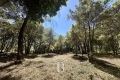 Building plot BIOT Carabacel 3747756_2