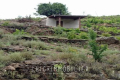 terrain COLLIOURE 3747834_2