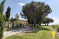 Maison ST FORT SUR GIRONDE 3763228_3