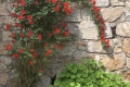 Maison LA TRINITE 3764607_3