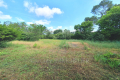 Building plot MOUANS-SARTOUX Carabacel 3771642_0