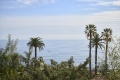 Appartement CANNES 3775632_3