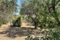 terrain LANCON DE PROVENCE 3777314_1