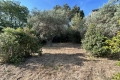 terrain LANCON DE PROVENCE 0 pi&egrave;ces 3777314_3