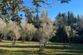 Maison FONTVIEILLE 3781373_3